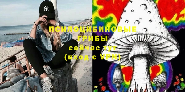 таблы Алексин